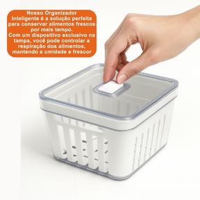 Organizador de Geladeira 3,8 Litros Cesto Com Tampa Multiuso Alimento Verdura e Vegetal